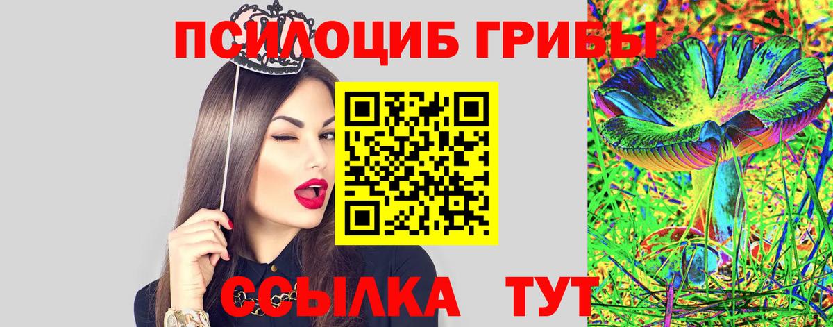 где можно купить наркотик  Вход с VPN  Ликино-Дулёво  Псилоцибиновые грибы Magic Shrooms 